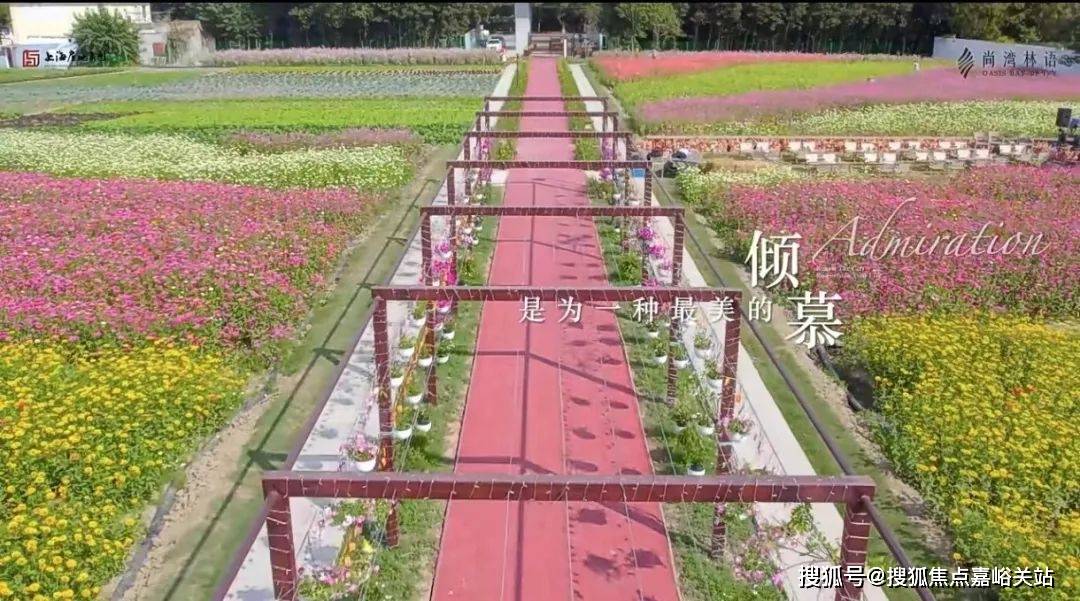 最新房价_楼盘评测丨地址丨详情丨售楼处电话丨 交房时间AG真人中国尚湾林语(尚湾林语售楼处)网站-2025(图8)